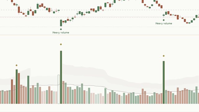 Volume Mentor chart panel