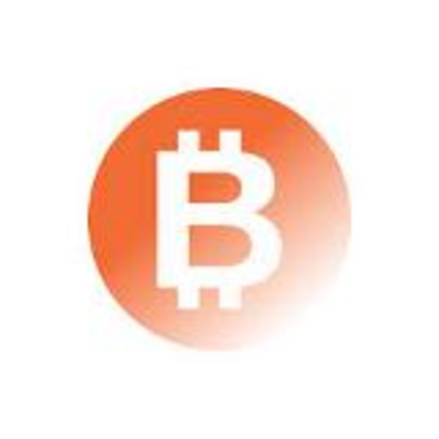 BitMine Immersion Technologies Inc logo