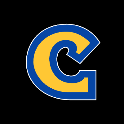 Capcom Co., Ltd. logo