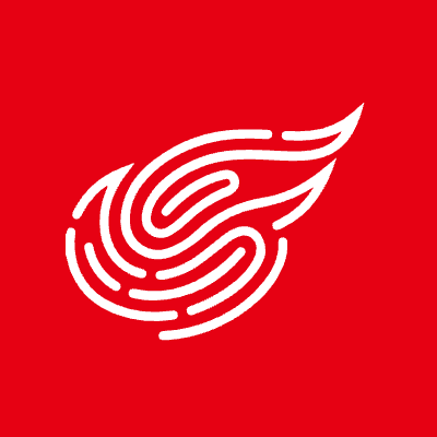 NetEase Inc ADR logo